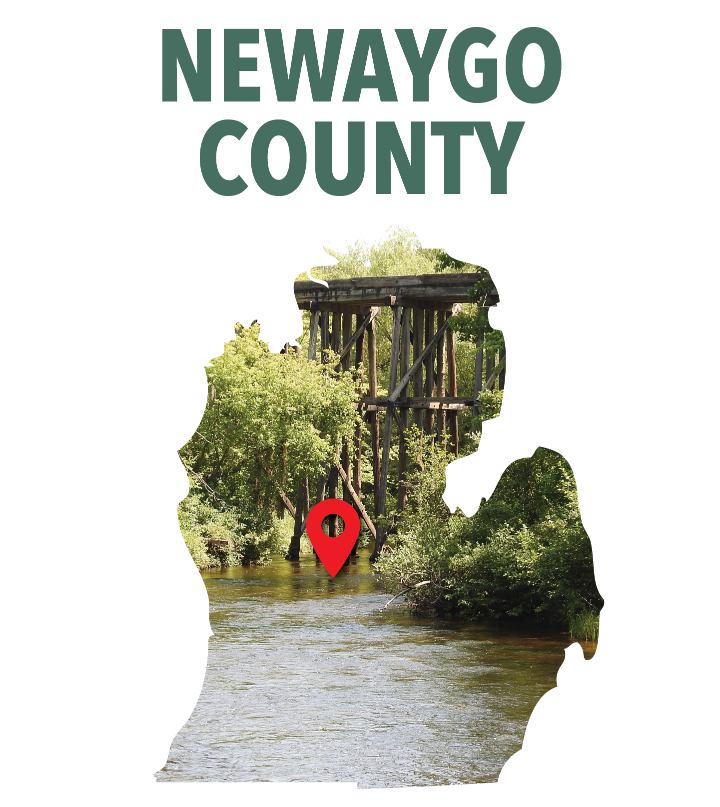 newaygo - Copy
