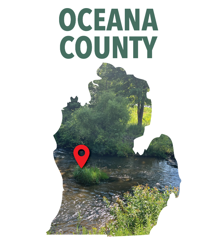 oceana - Copy