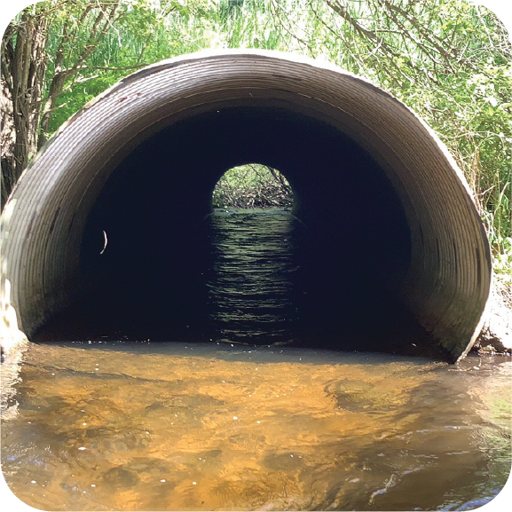 resilience planning