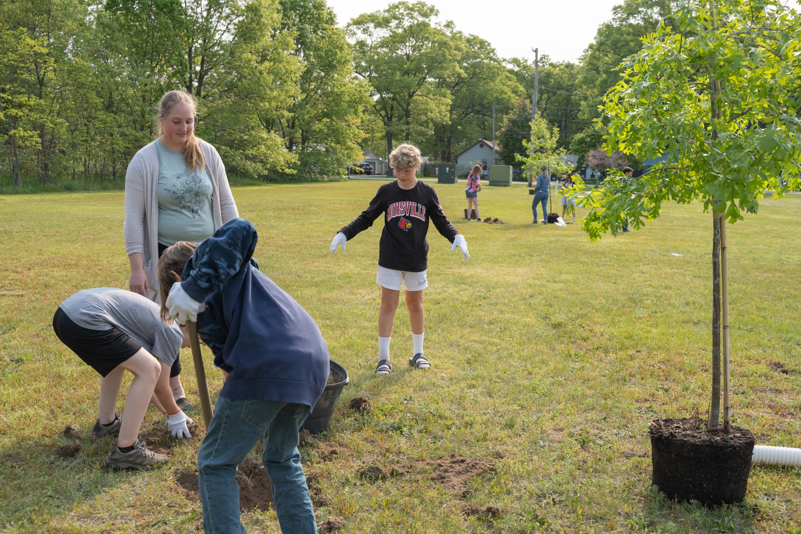 Tree-Planting